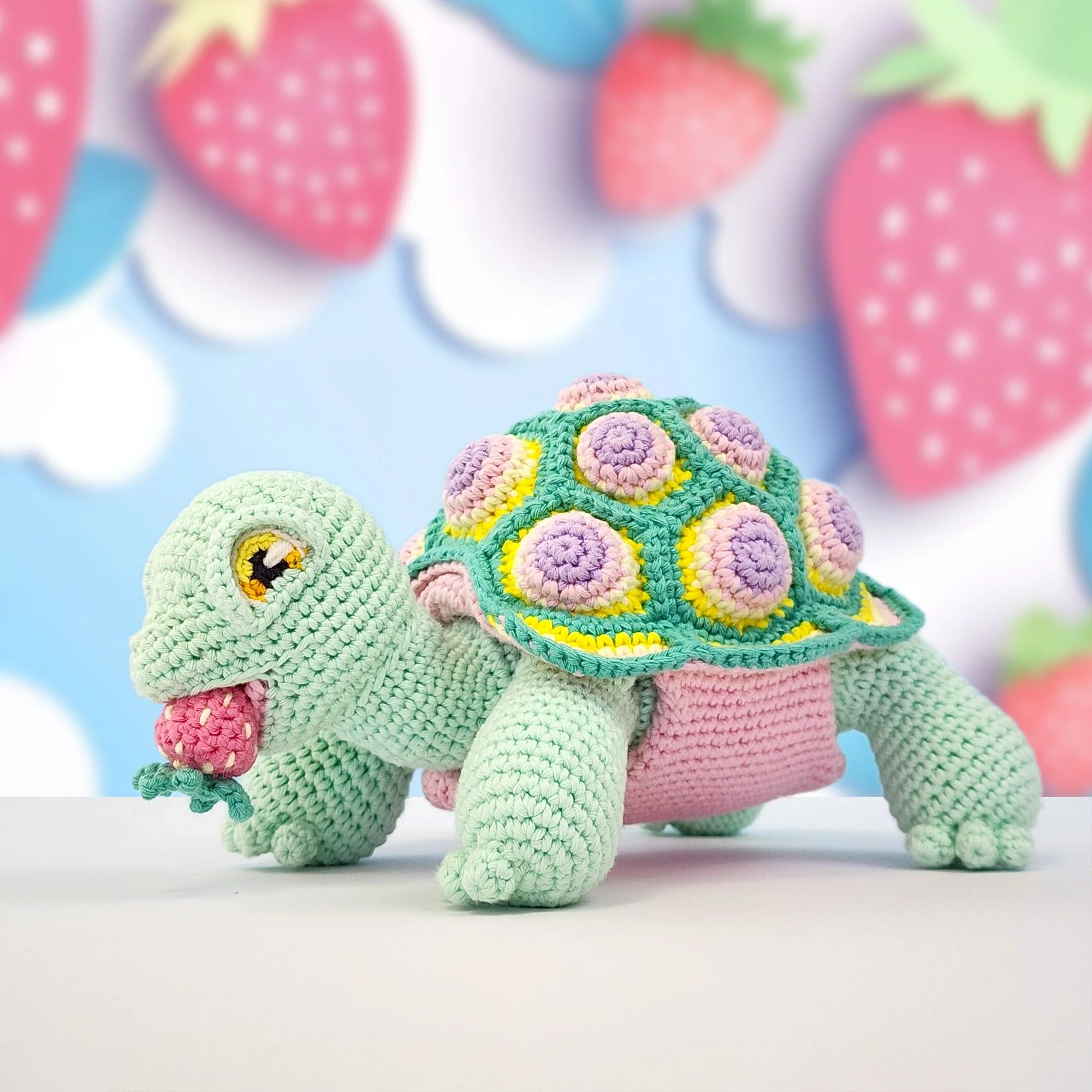 5644-astro-the-tortoise-1.webp