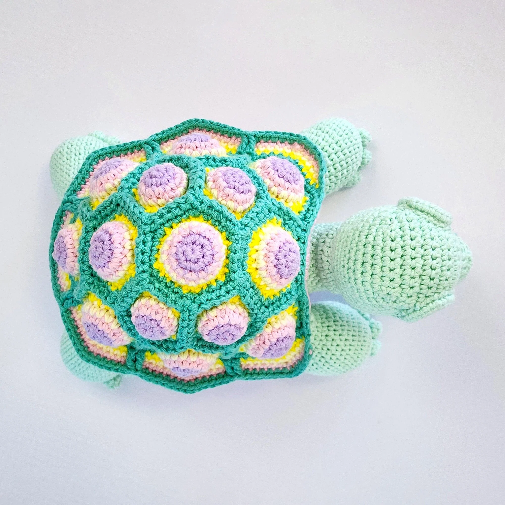5644-astro-the-tortoise-1.webp