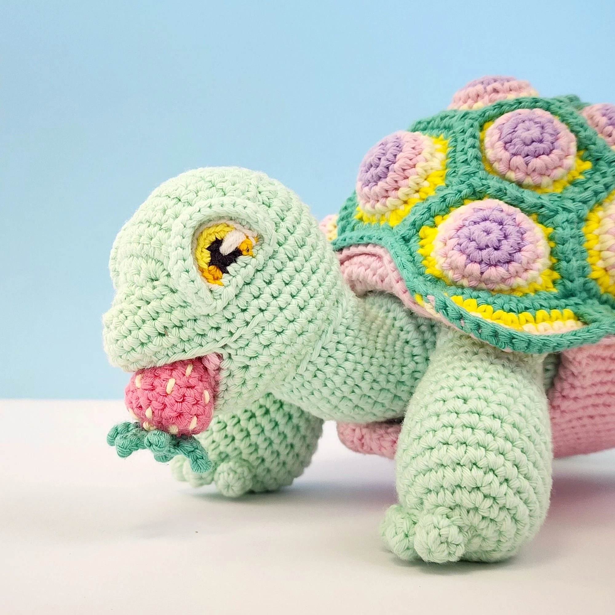 5644-astro-the-tortoise-1.webp