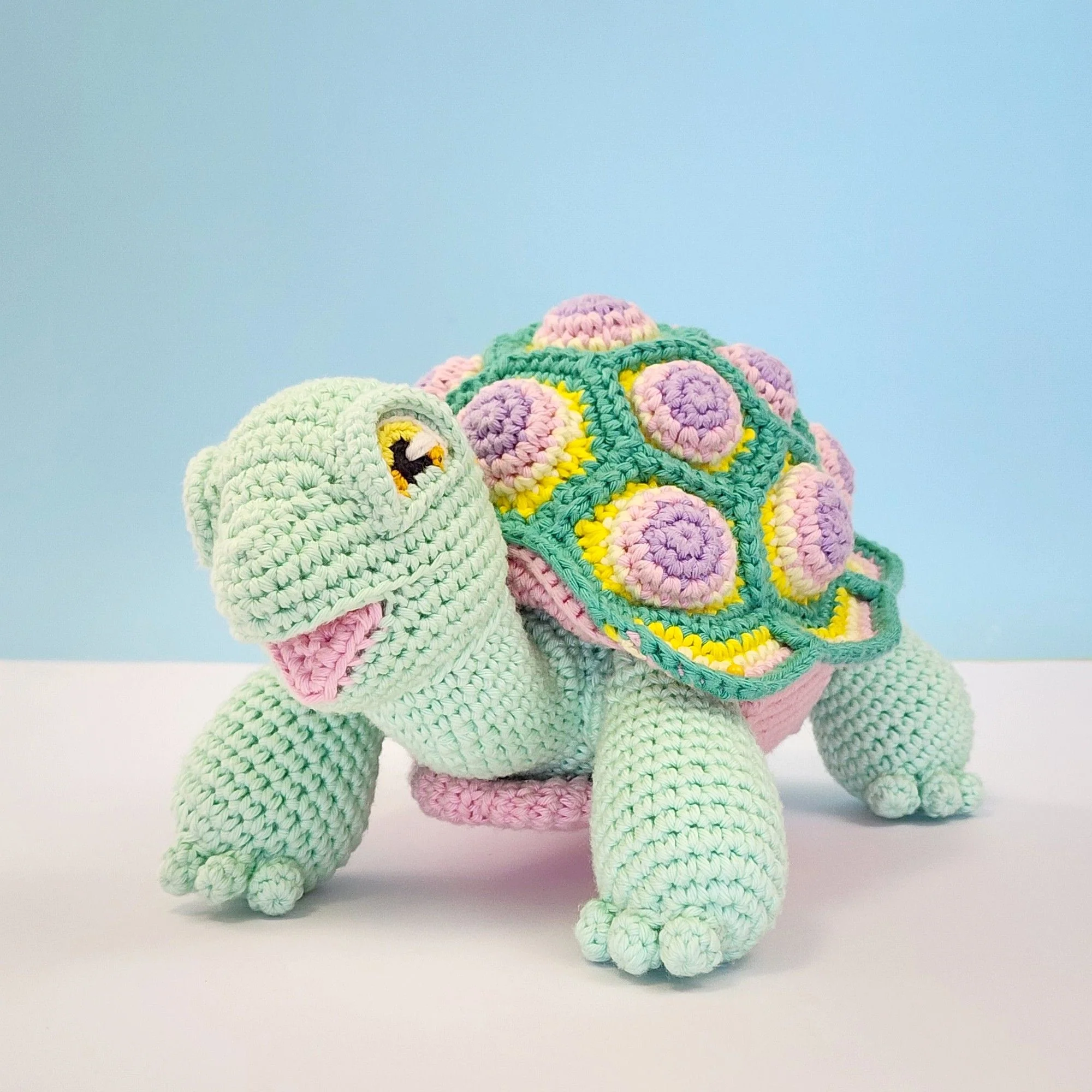 5644-astro-the-tortoise-1.webp
