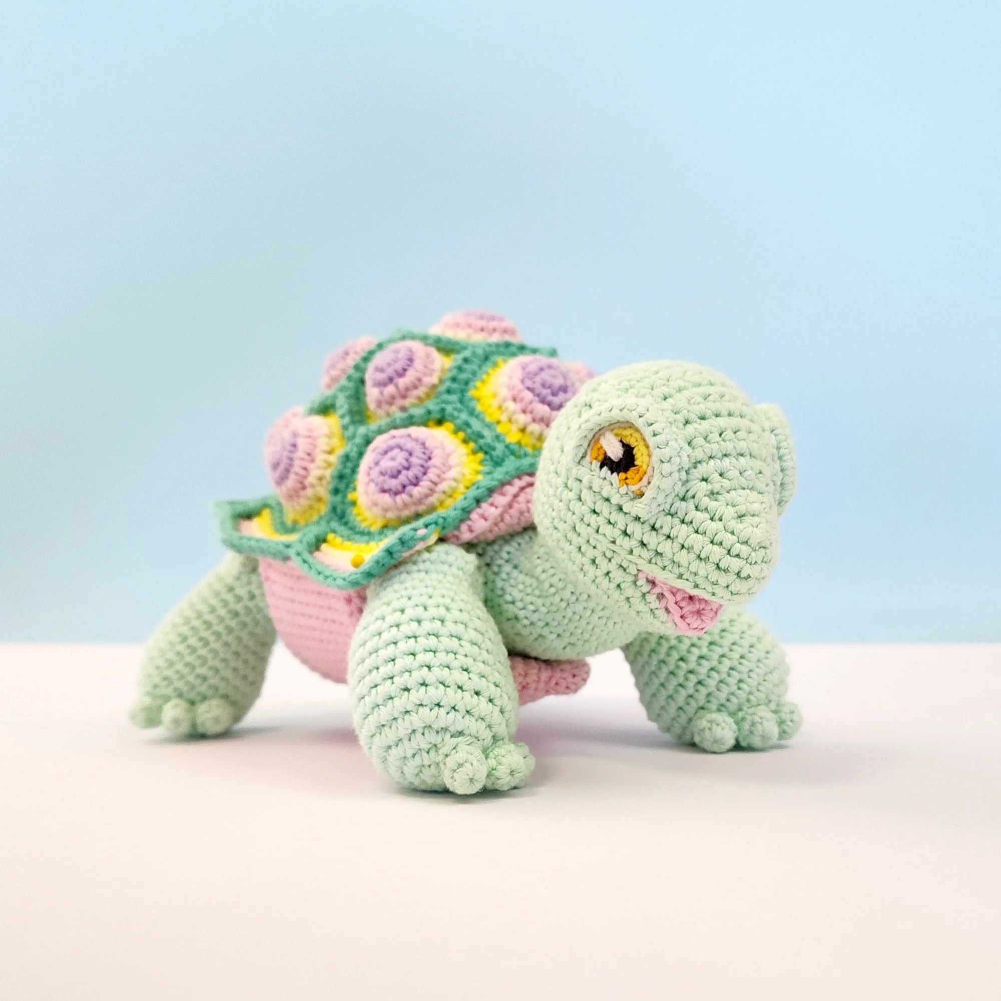 5644-astro-the-tortoise-1.webp