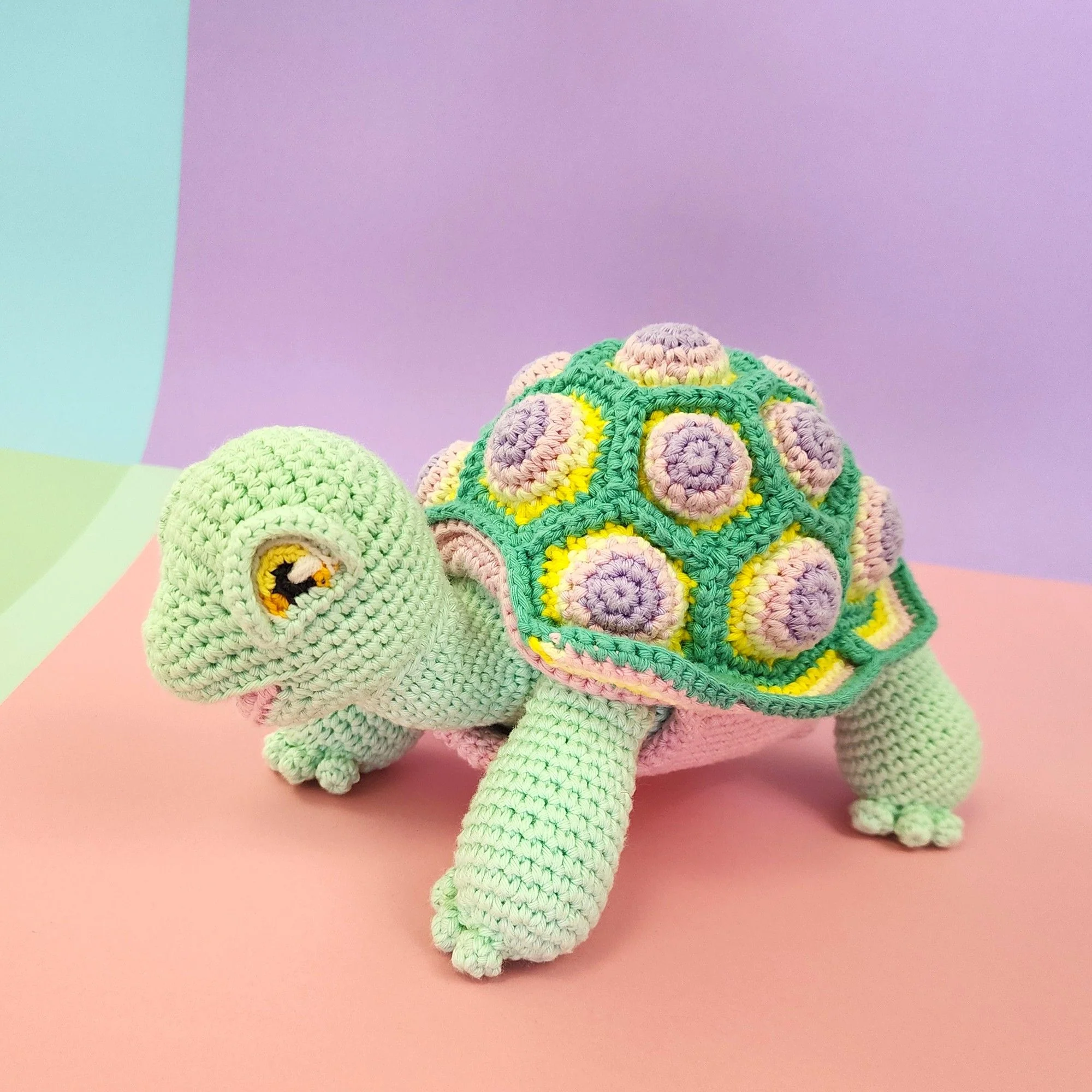 5644-astro-the-tortoise-1.webp