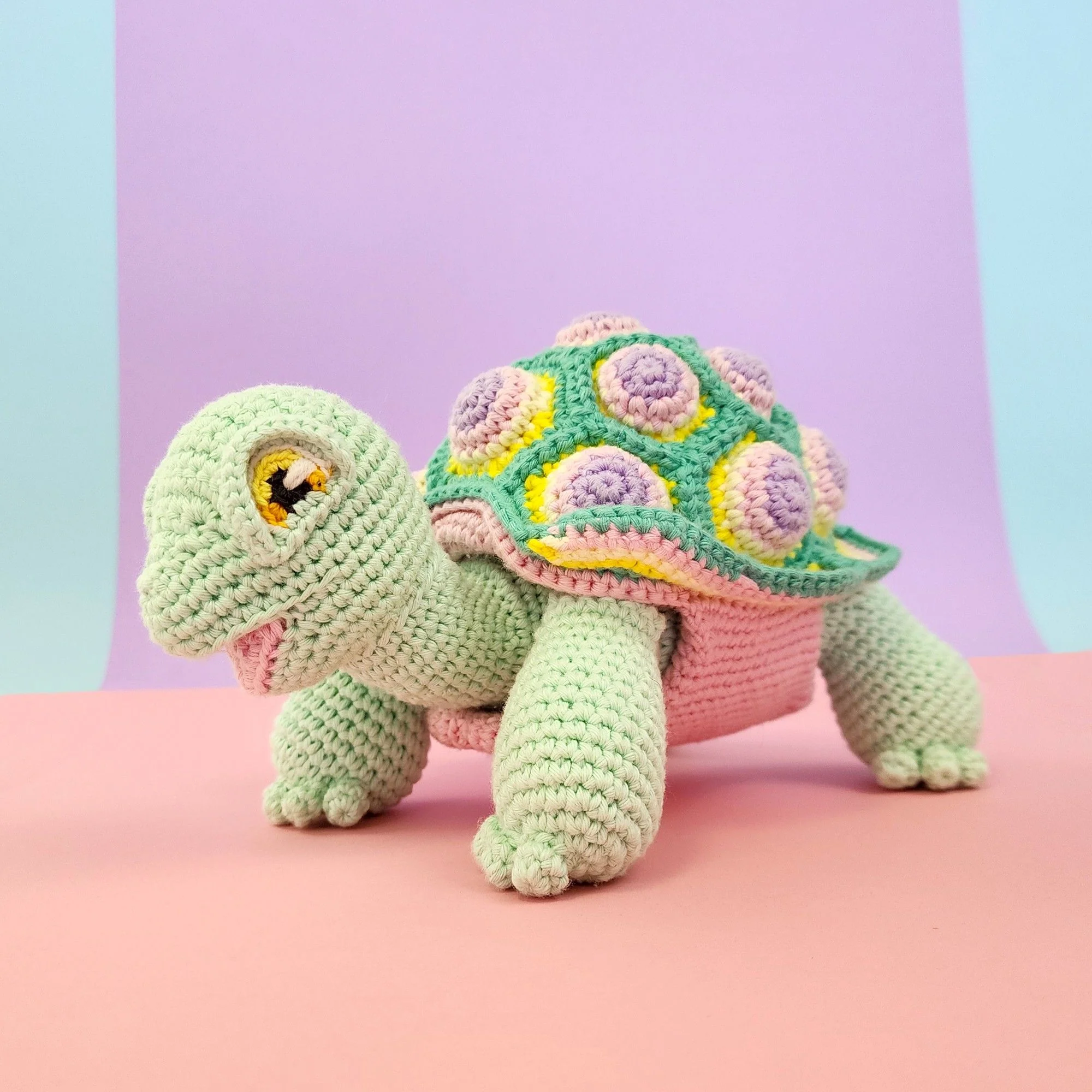 5644-astro-the-tortoise-1.webp