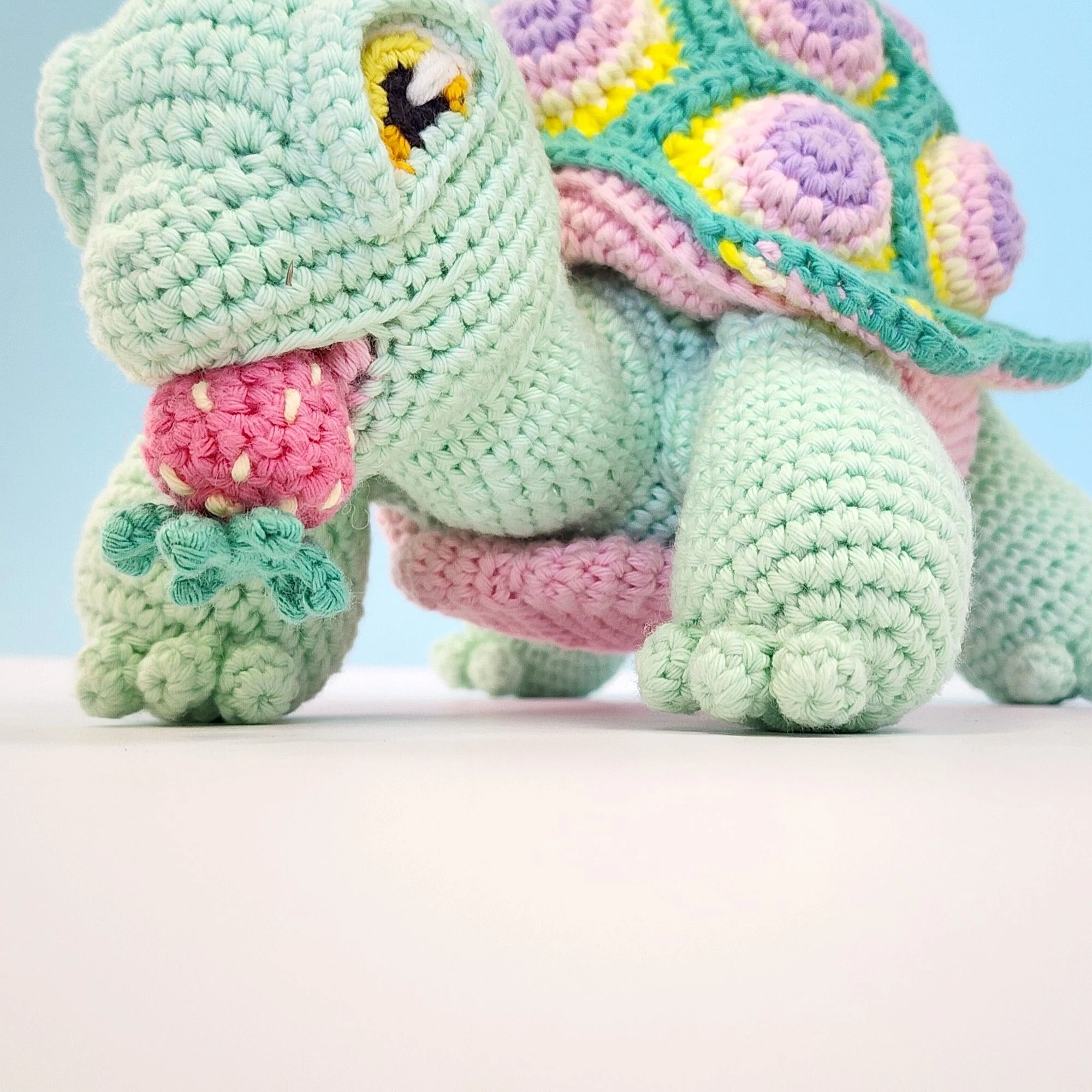 Astro the Tortoise