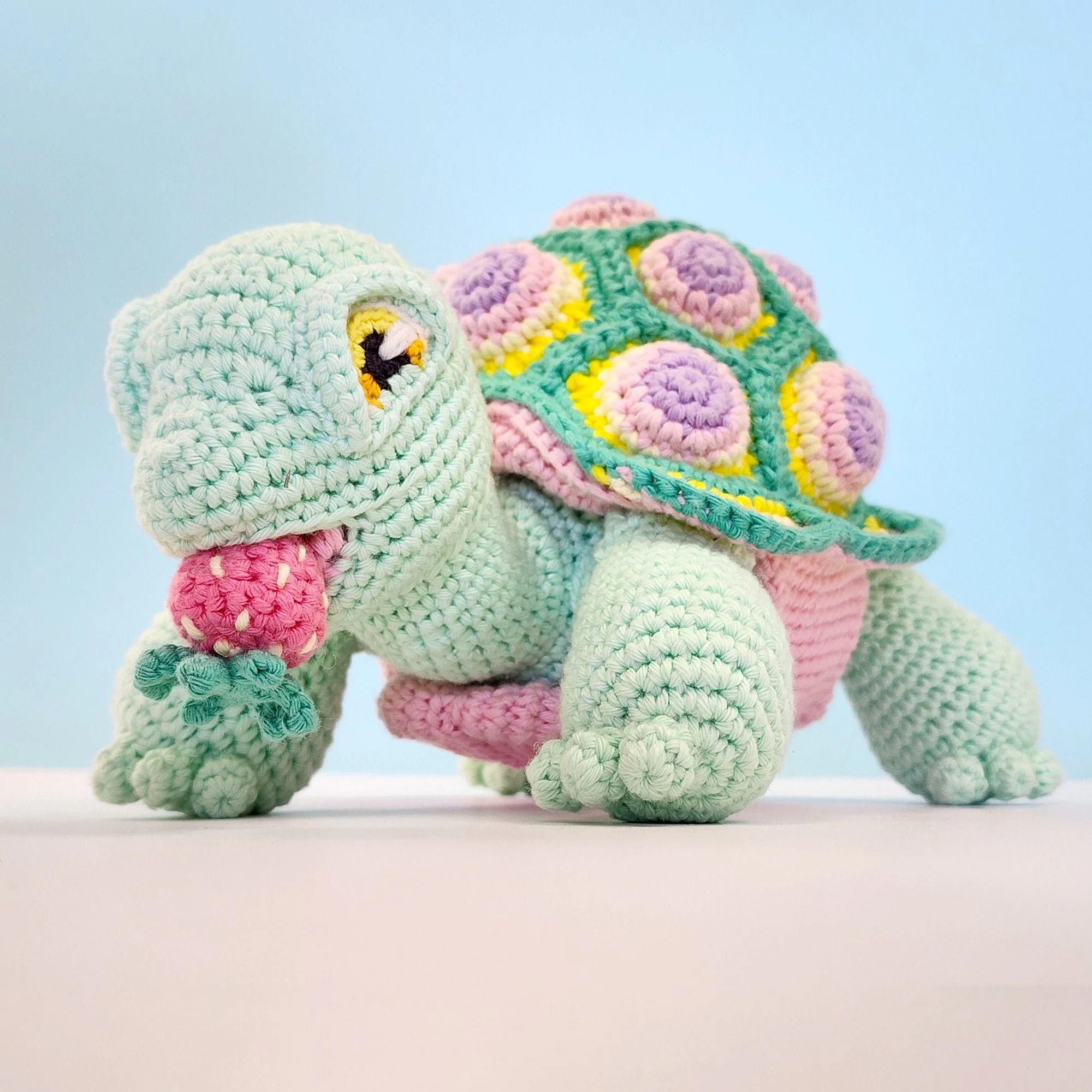 5644-astro-the-tortoise-1.webp