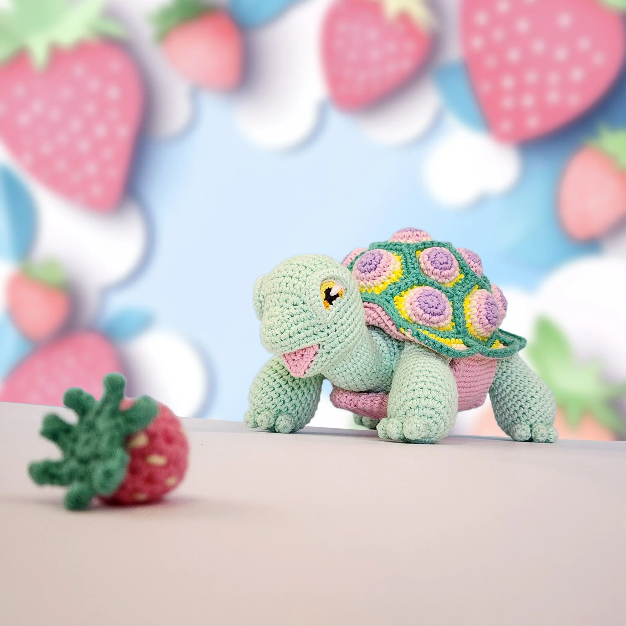 5644-astro-the-tortoise-1.webp