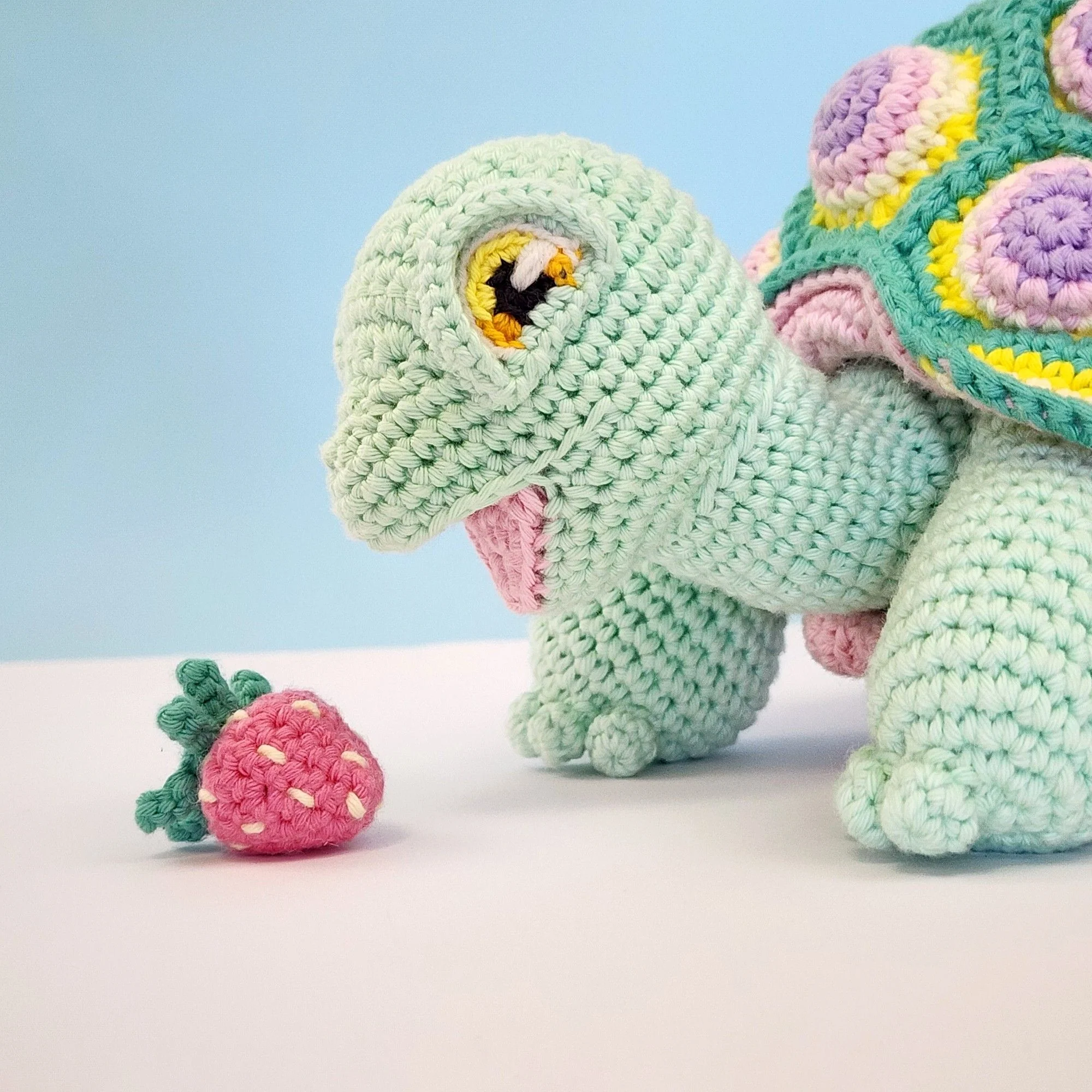 5644-astro-the-tortoise-1.webp