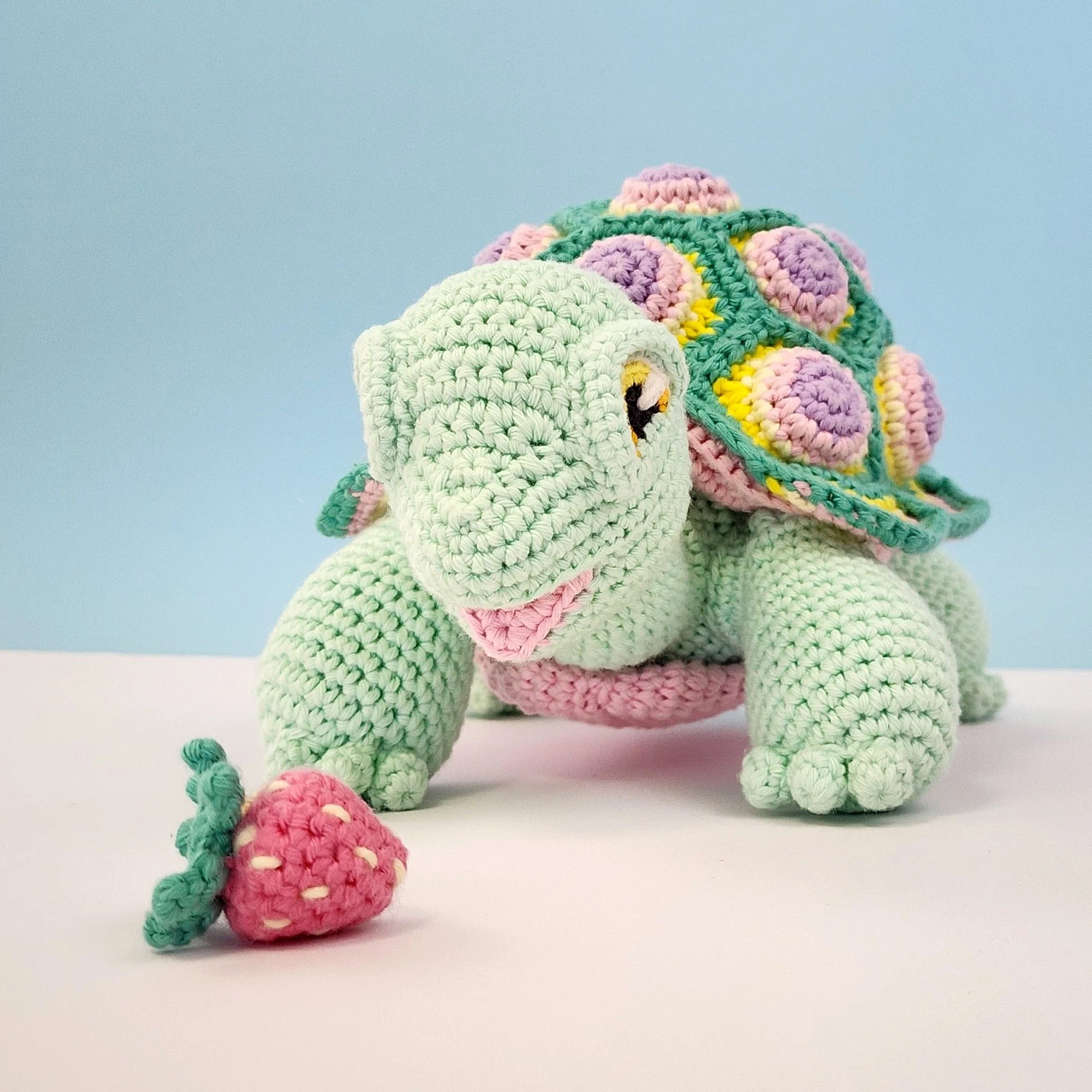 5644-astro-the-tortoise-1.webp