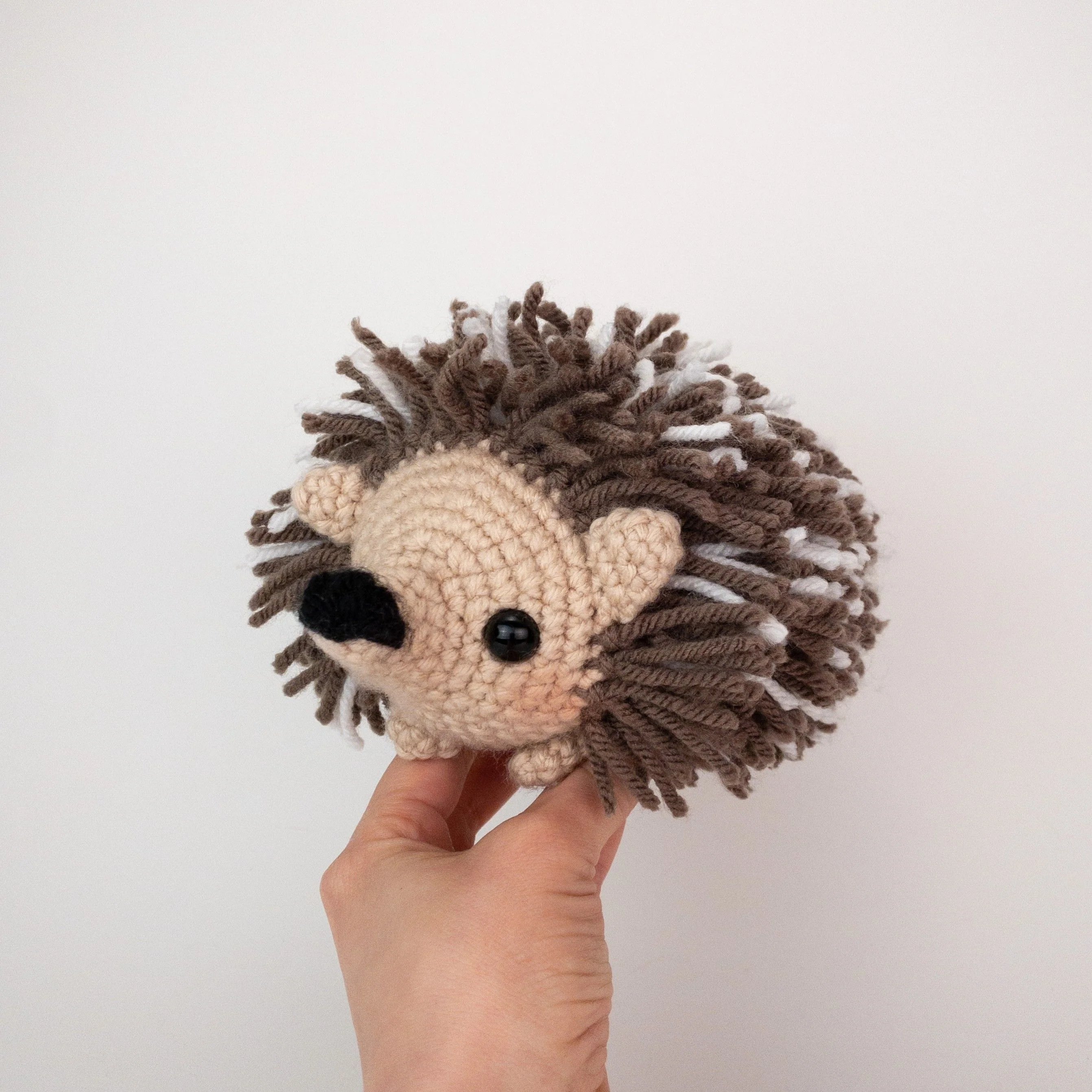 5647-heath-the-hedgehog-1.webp