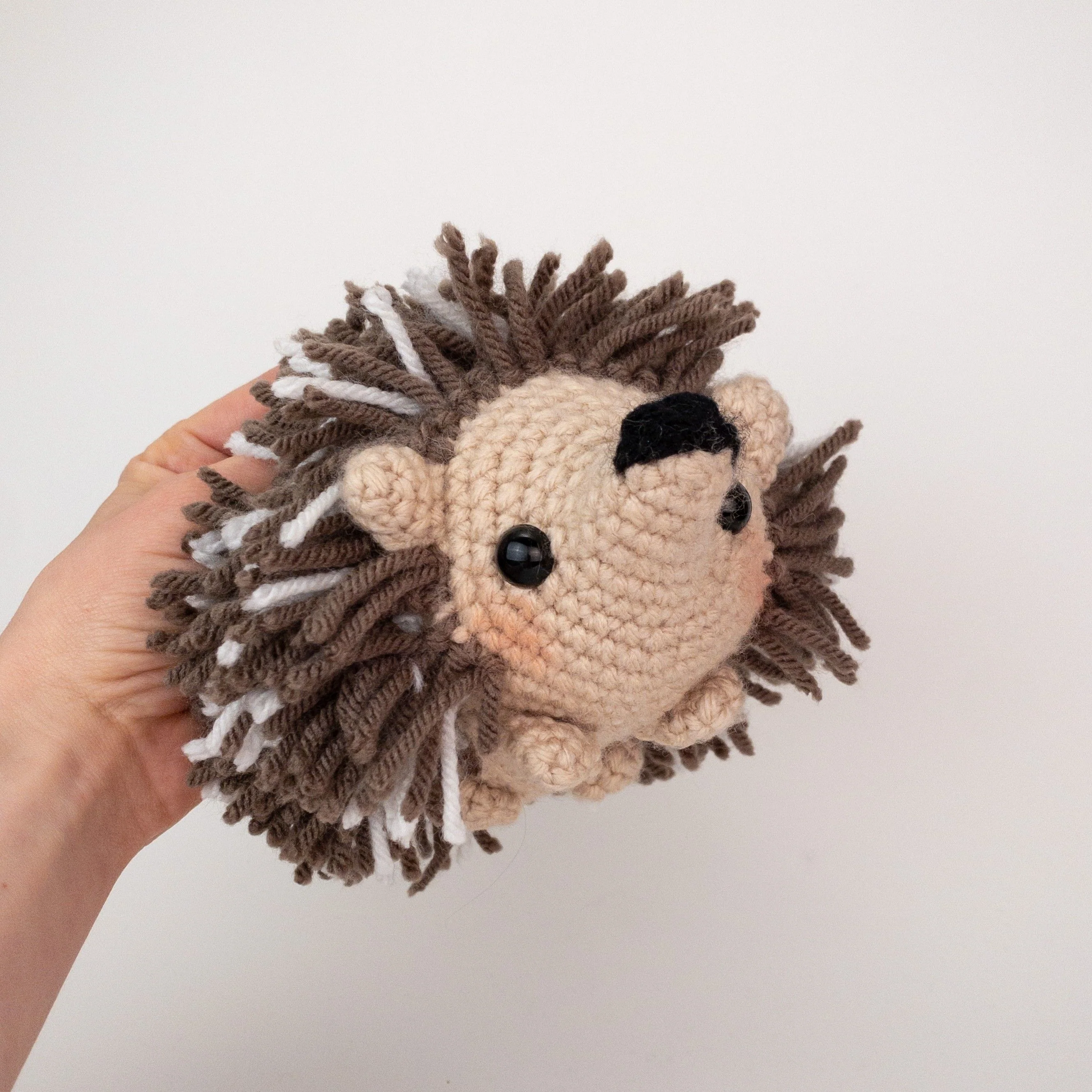 5647-heath-the-hedgehog-1.webp