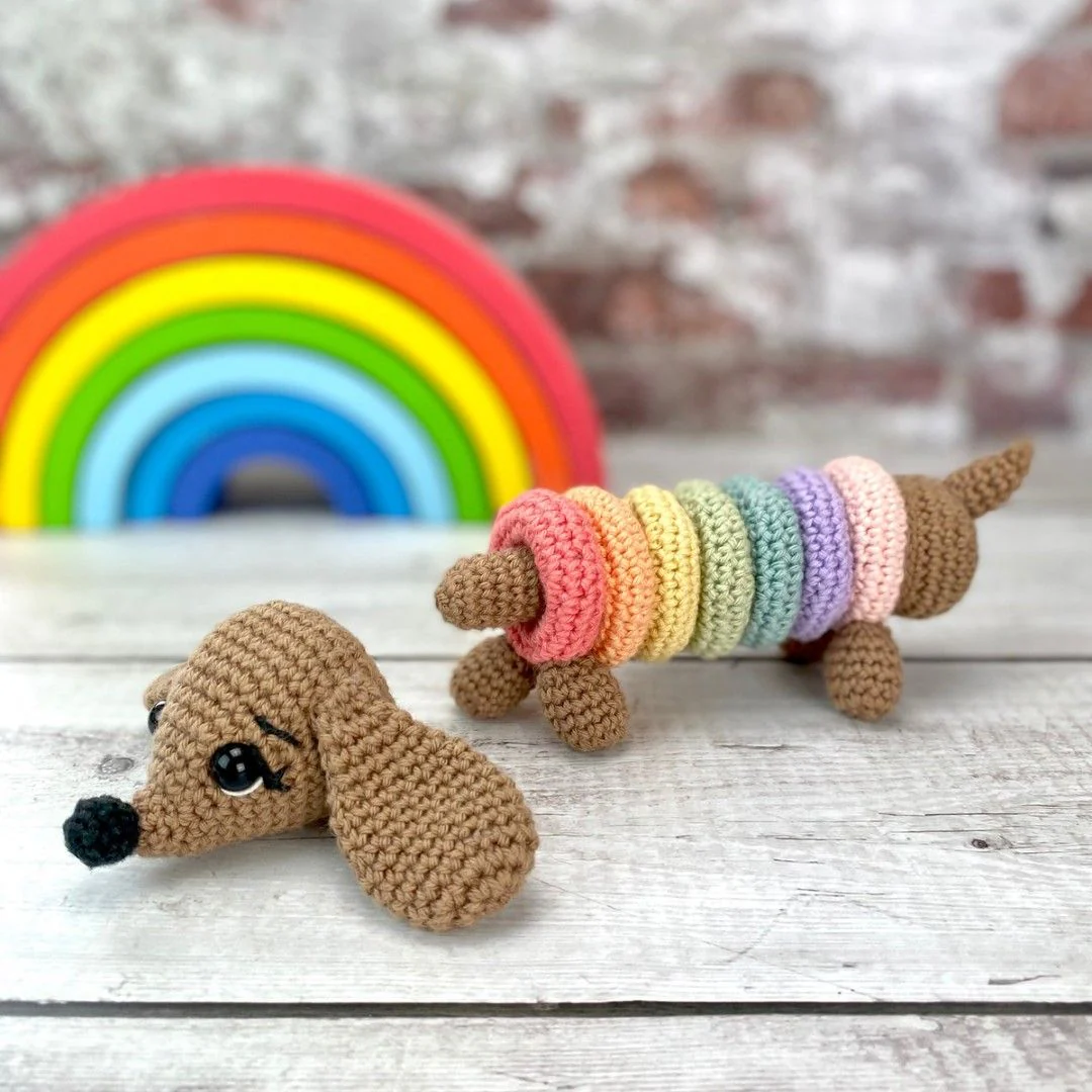 5664-ringo-the-rainbow-dog-1.webp