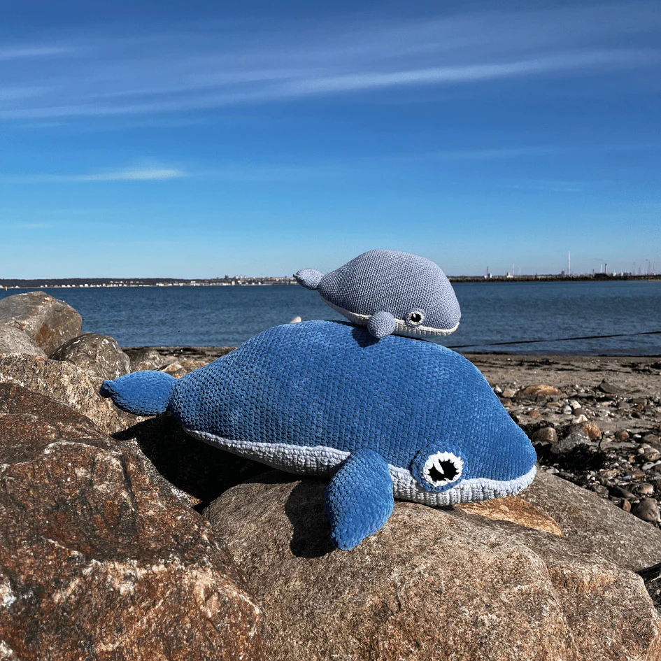 5693-blue-whale-1.webp