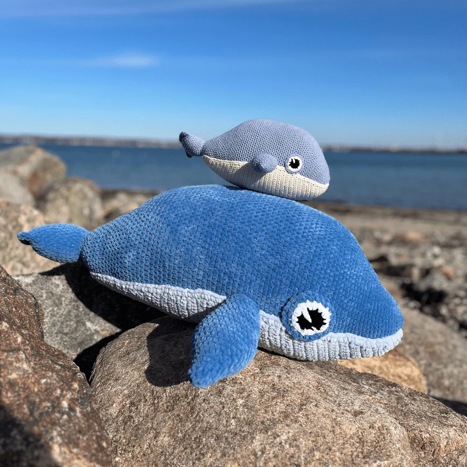 5693-blue-whale-1.webp