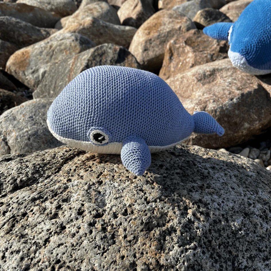 5693-blue-whale-1.webp