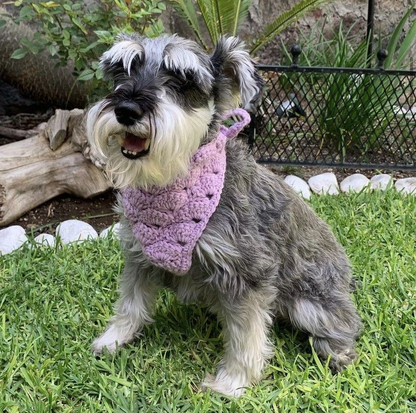 Cuddly Wrap - Dogâs Bandana