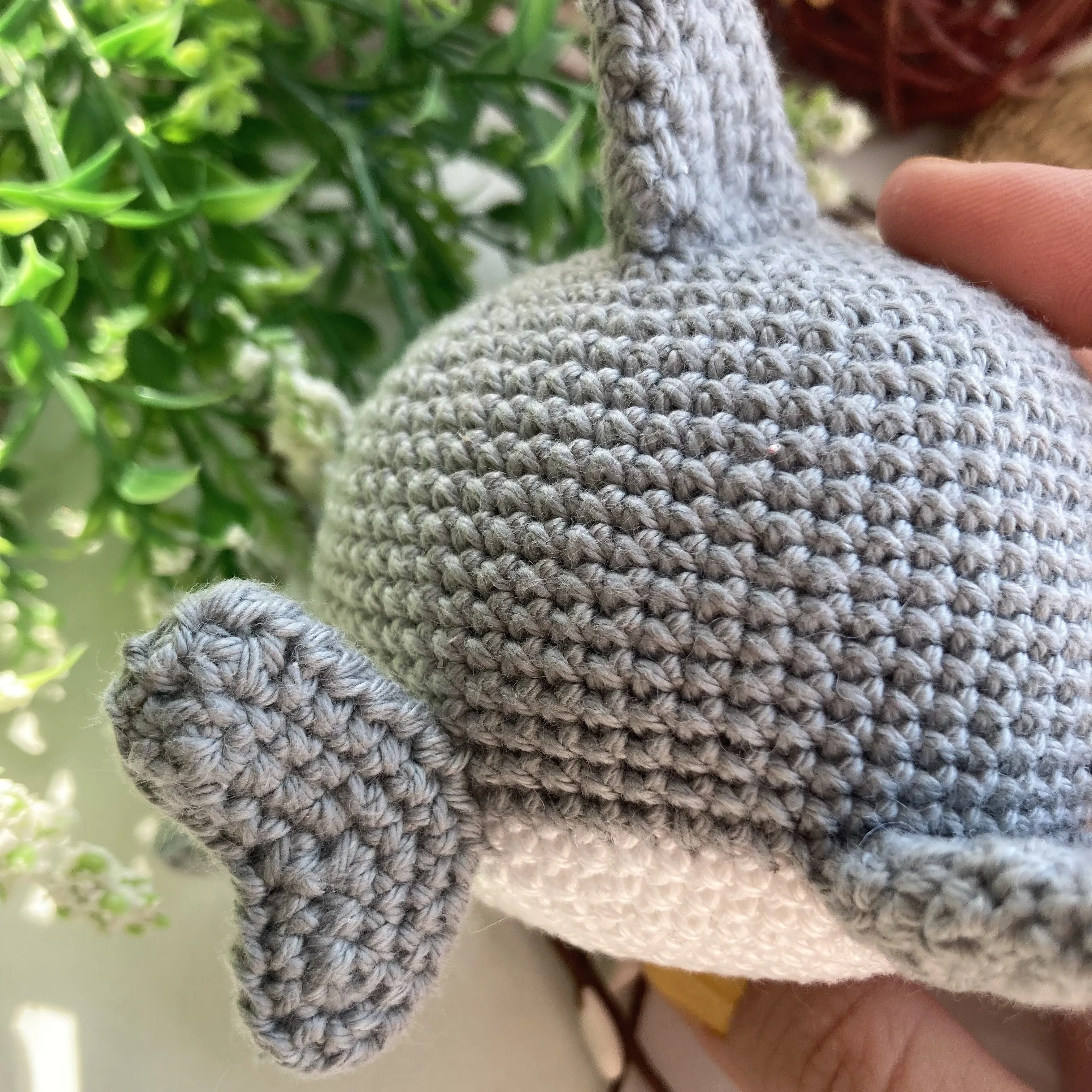 5706-tommy-the-little-shark-1.webp