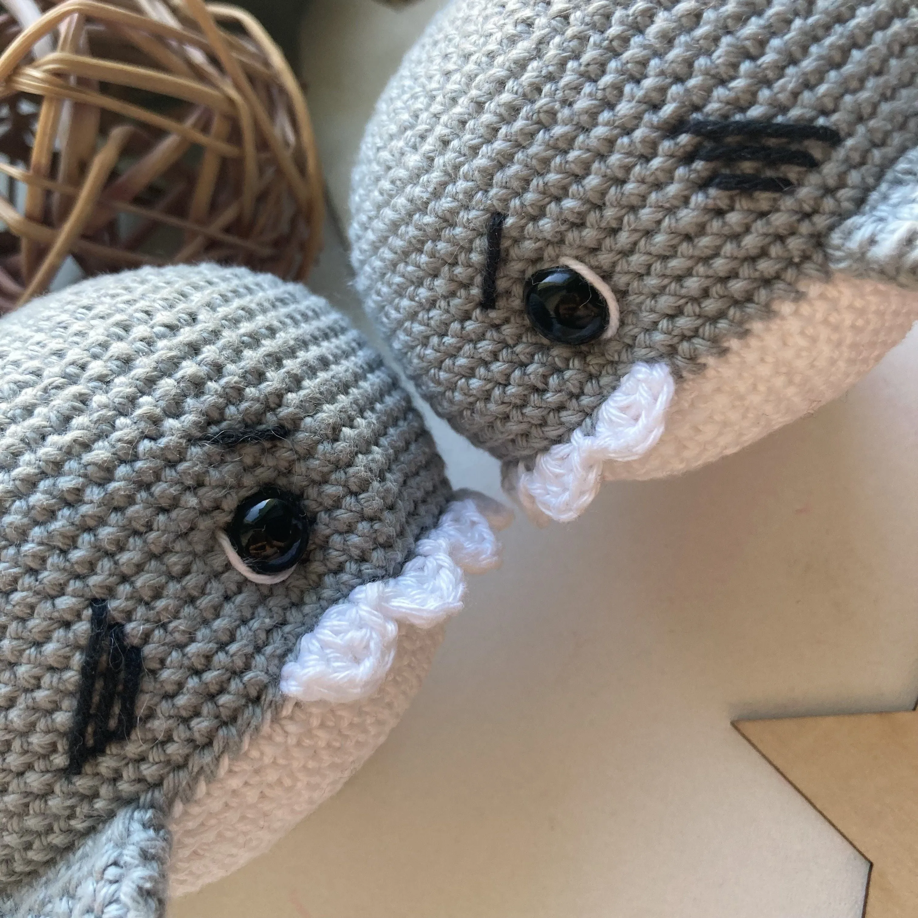 5706-tommy-the-little-shark-1.webp