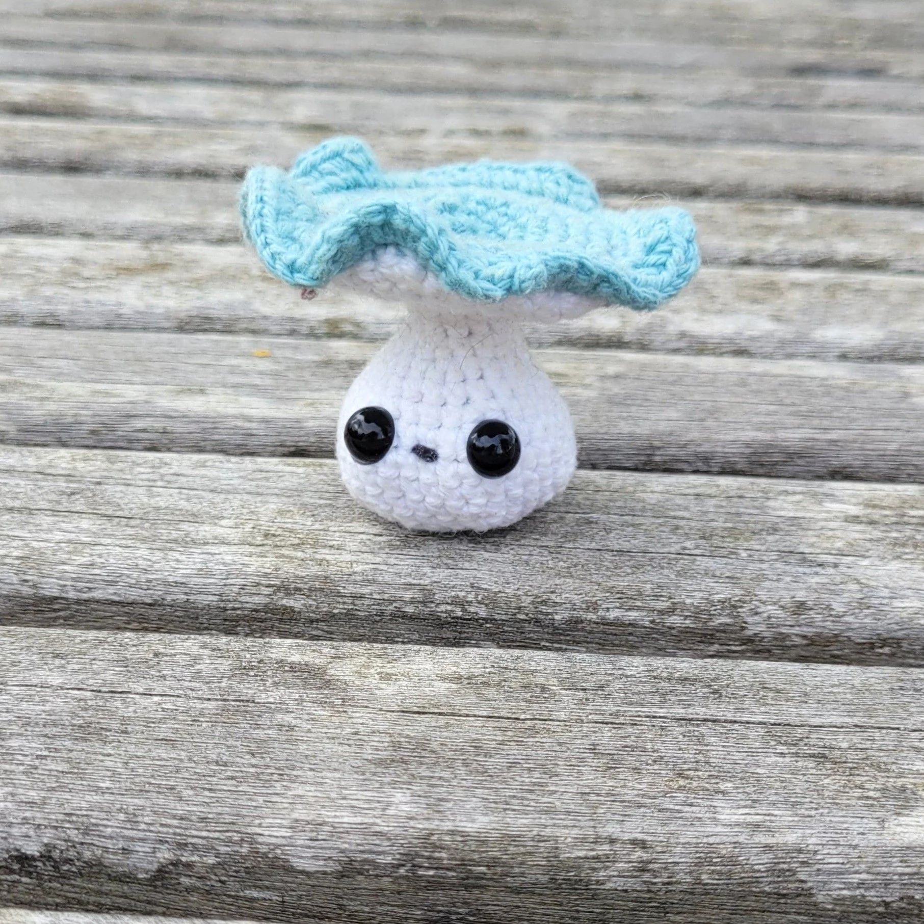 5710-fall-fungi-1.webp