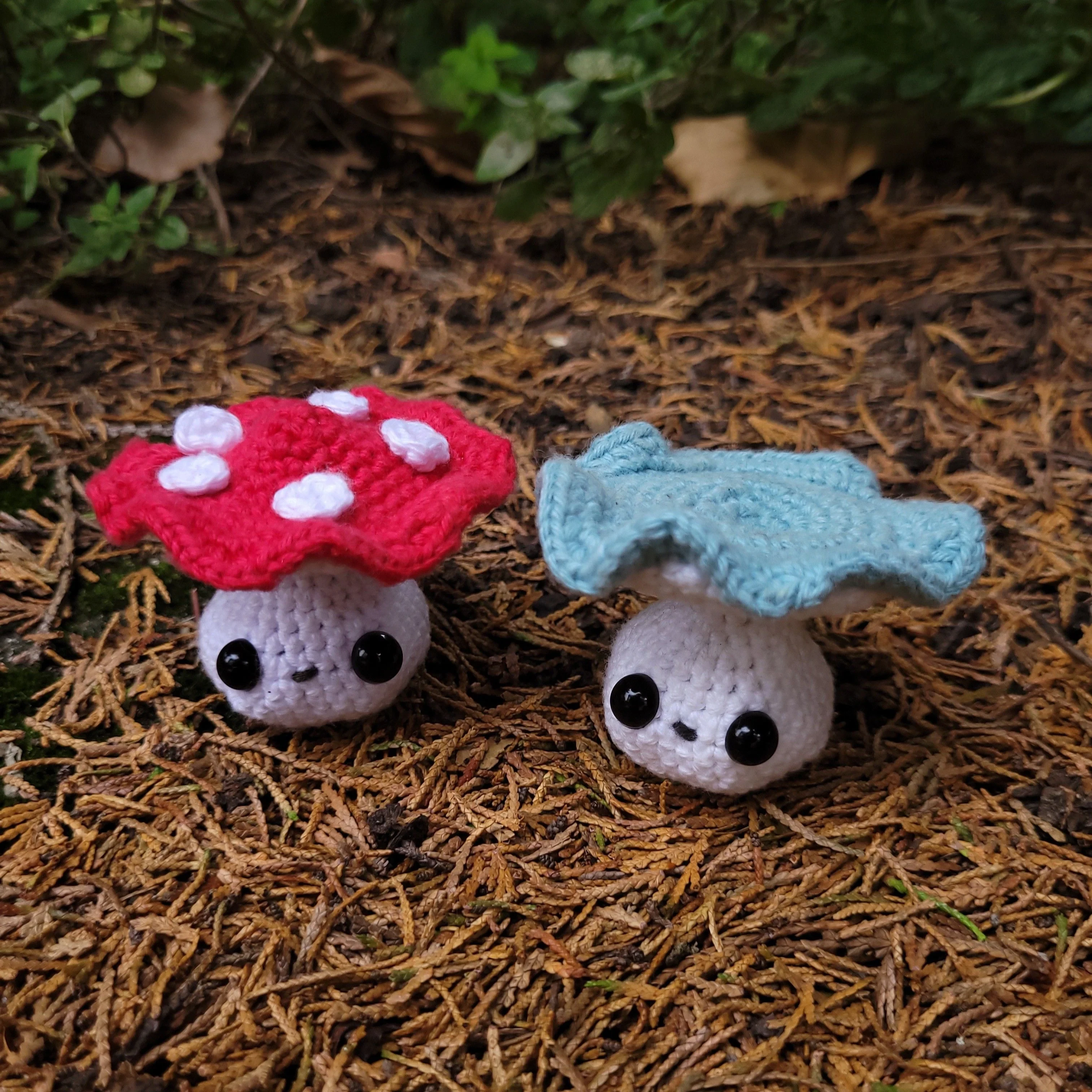 5710-fall-fungi-1.webp