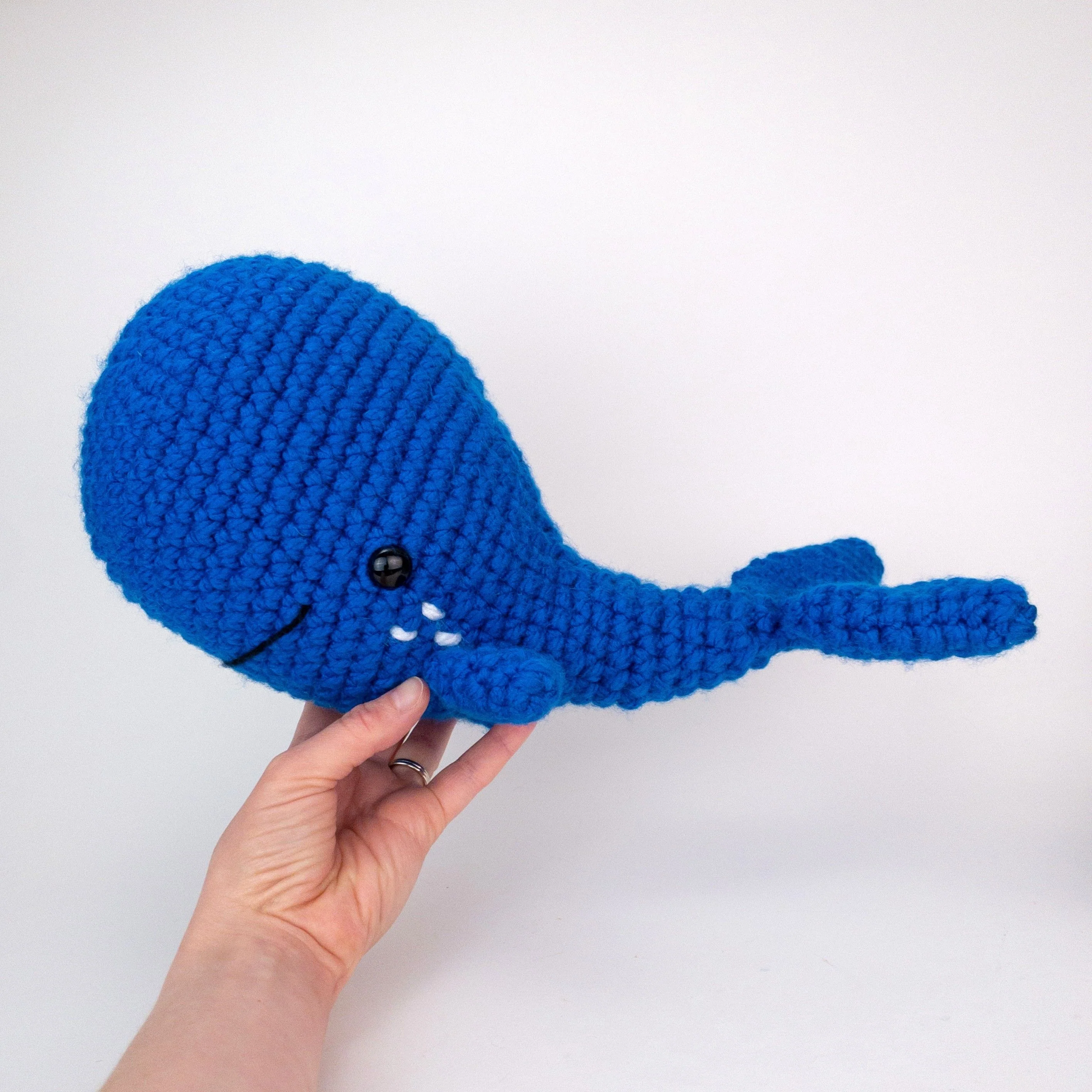 Barnaby the Blue Whale