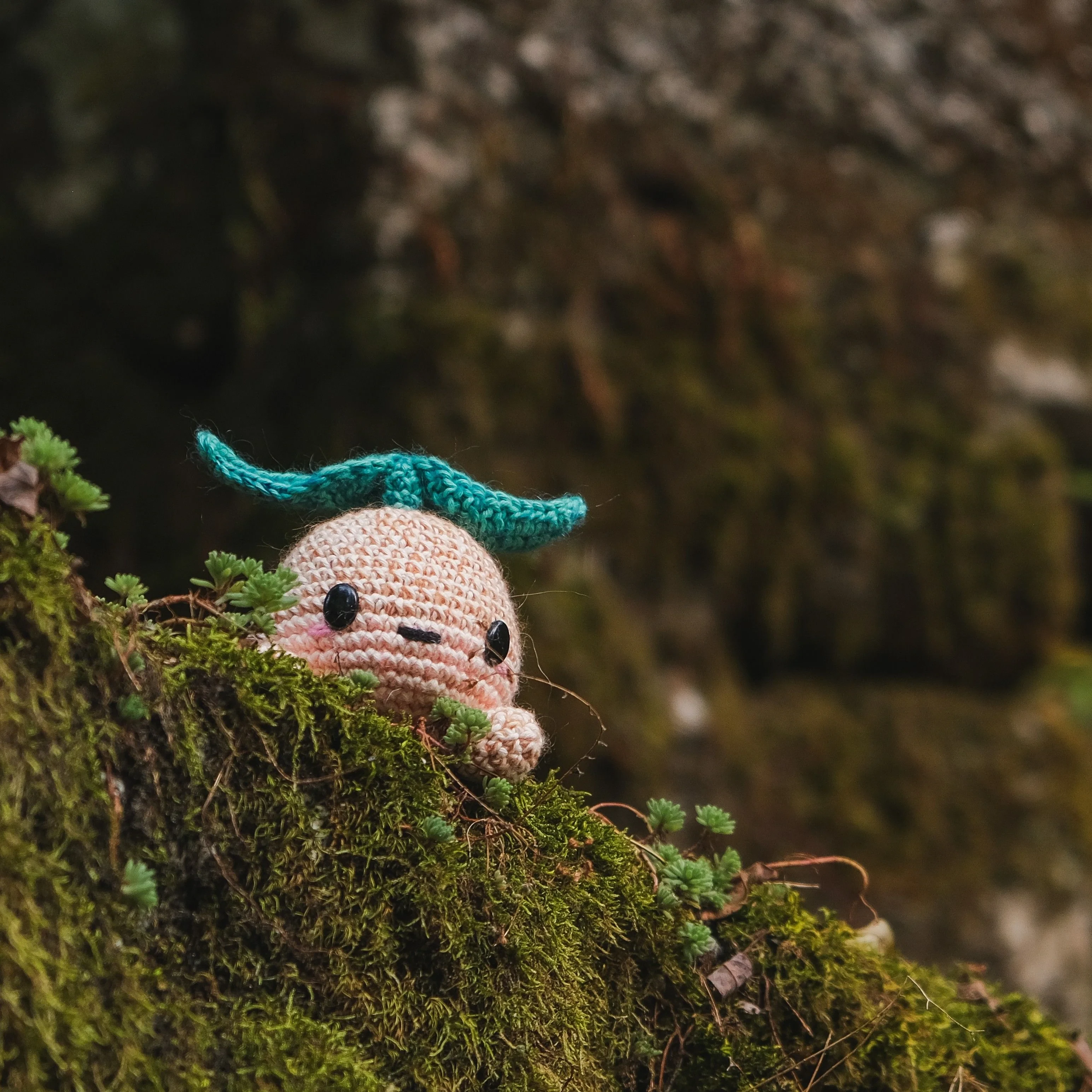 5730-elemental-fairies-1.webp