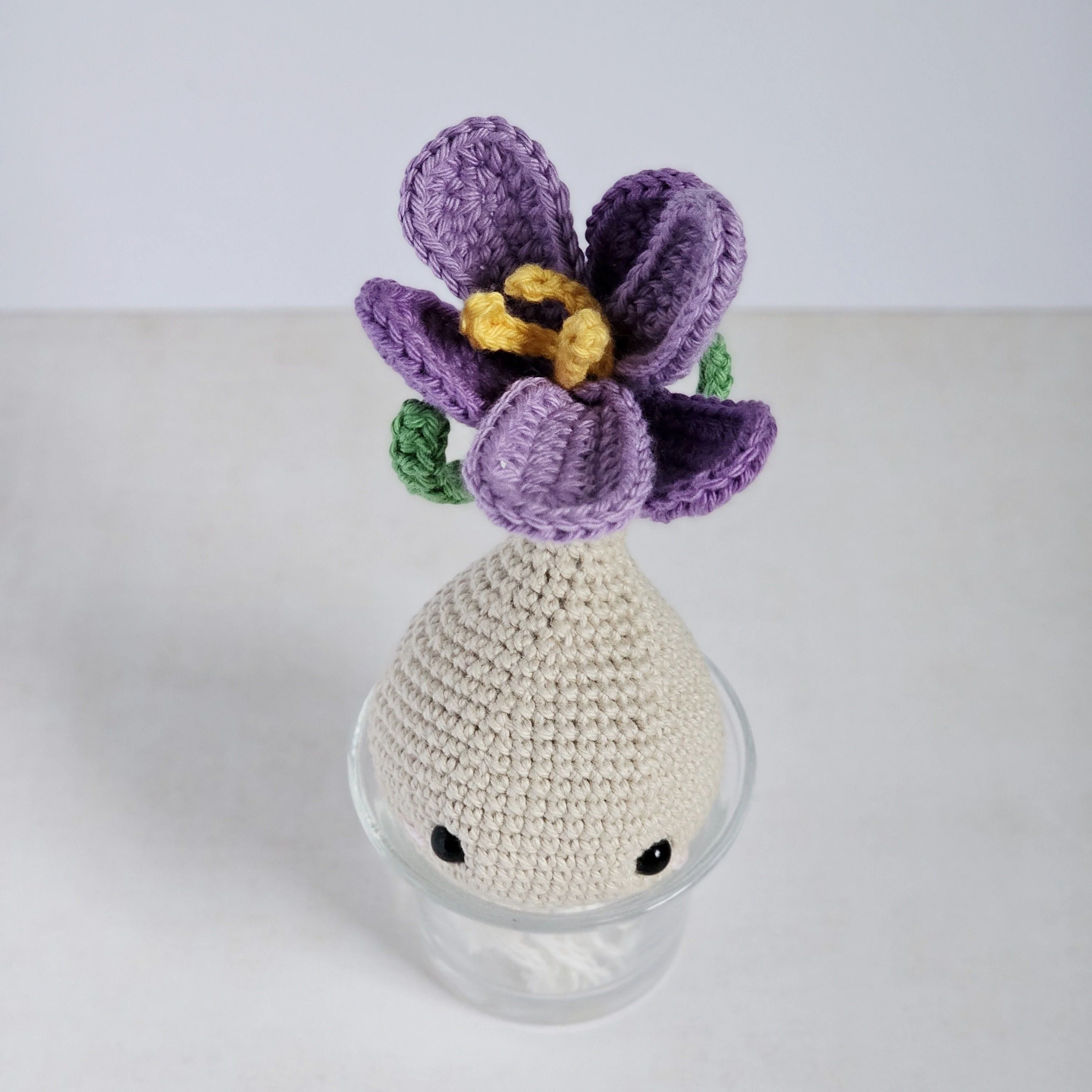 5748-crocus-1.webp