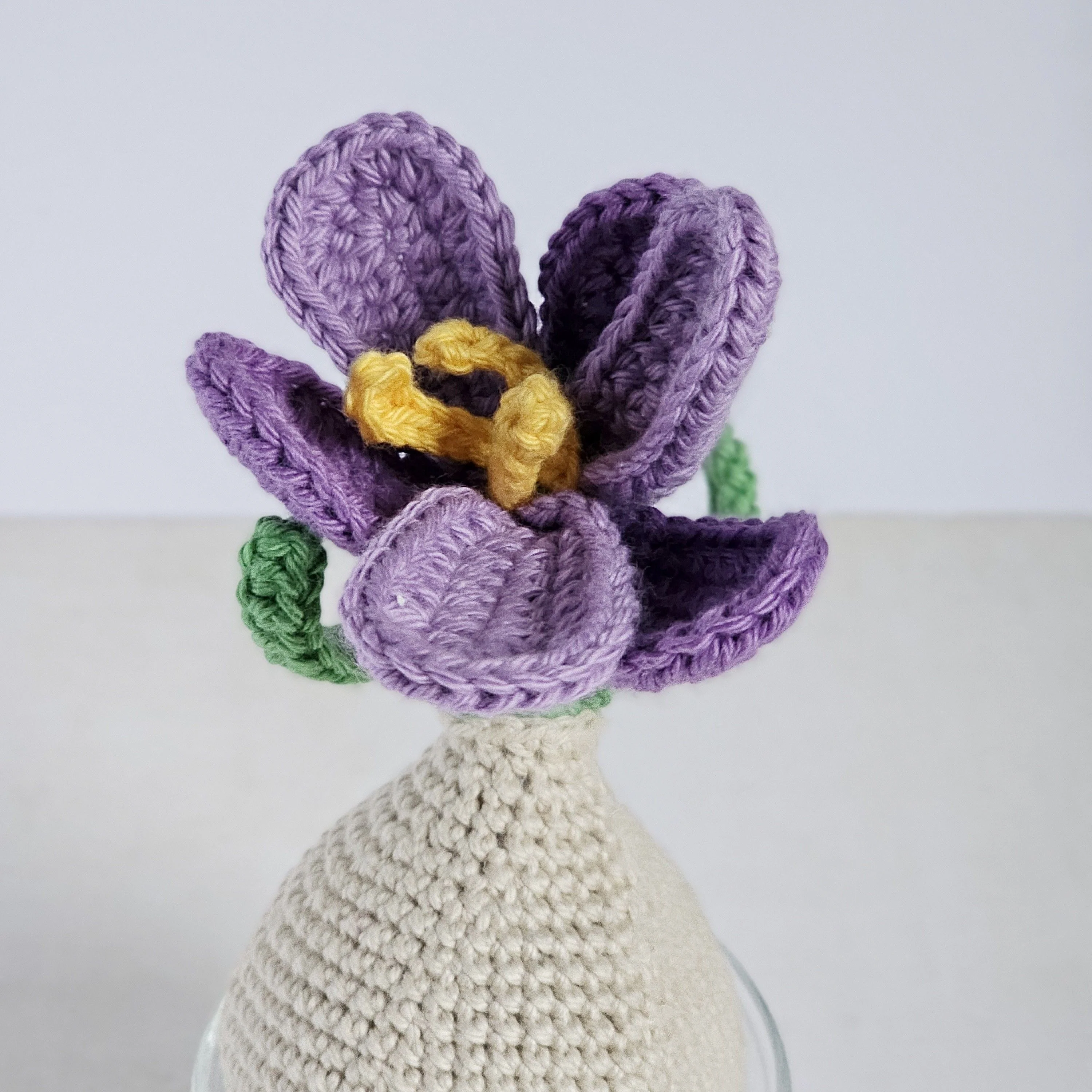 5748-crocus-1.webp