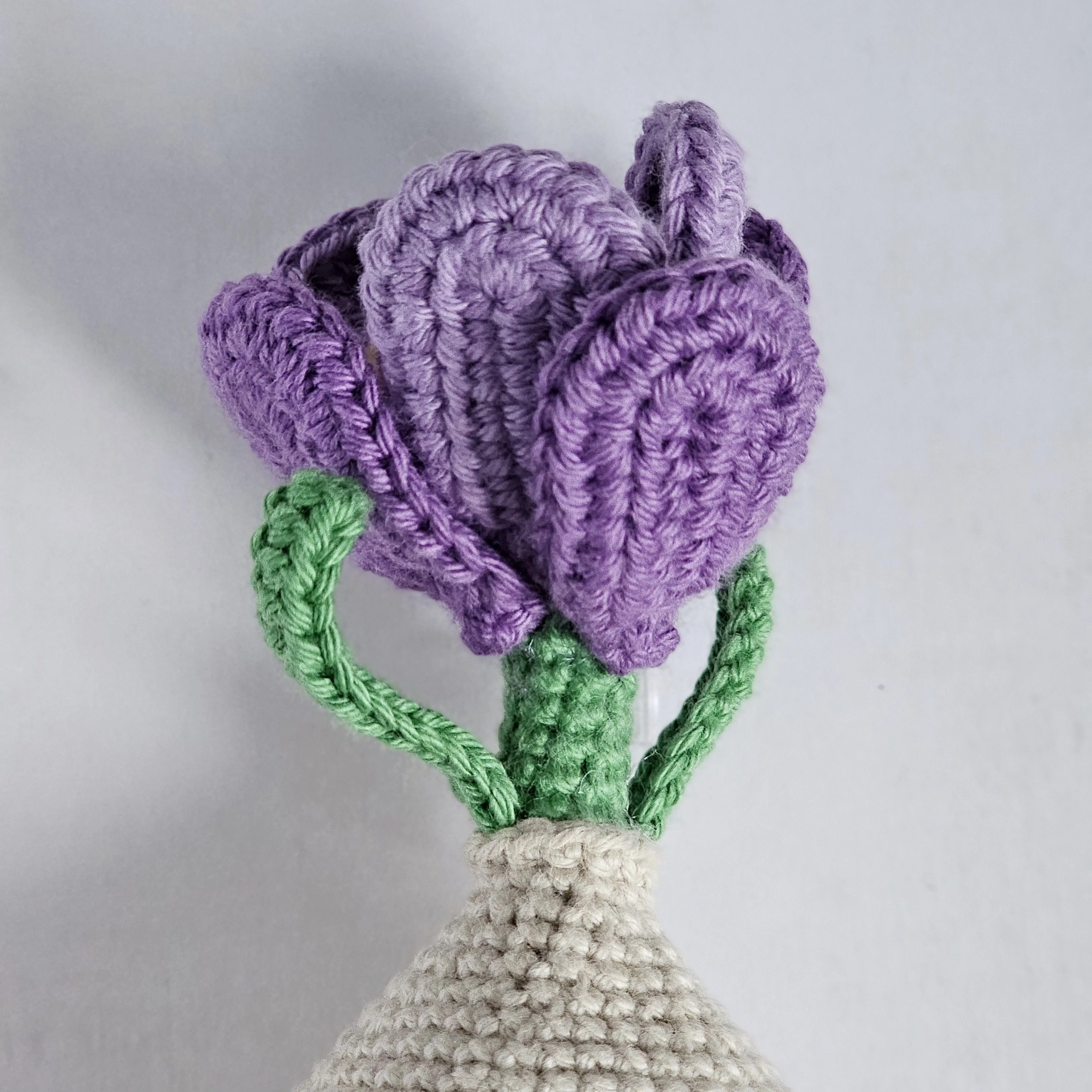 5748-crocus-1.webp