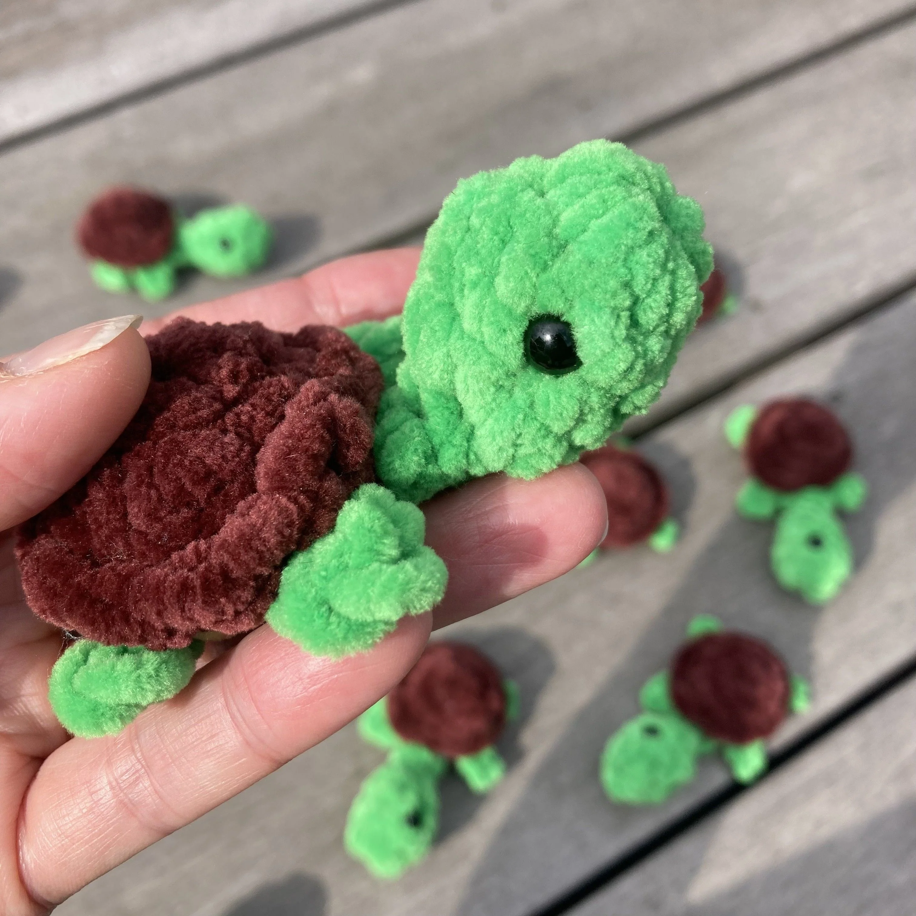 5775-rainbow-turtles-memory-game-1.webp