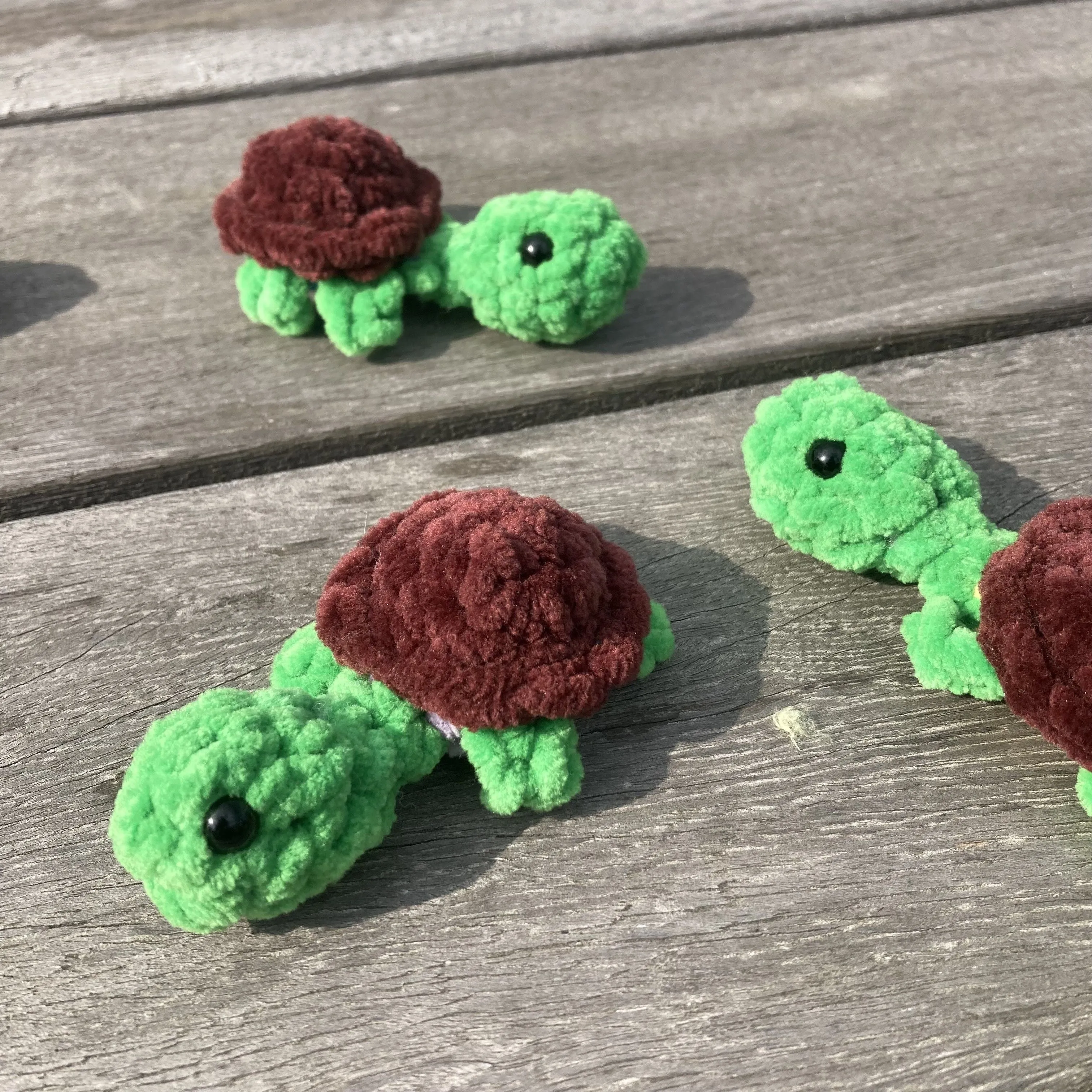 5775-rainbow-turtles-memory-game-1.webp