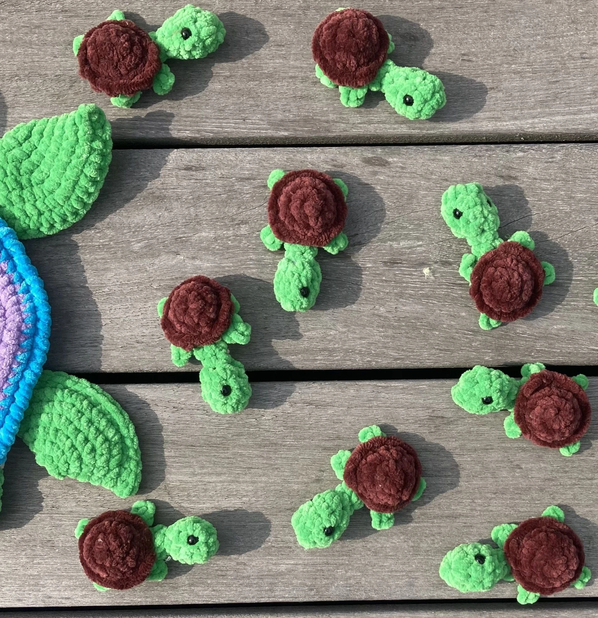 5775-rainbow-turtles-memory-game-1.webp
