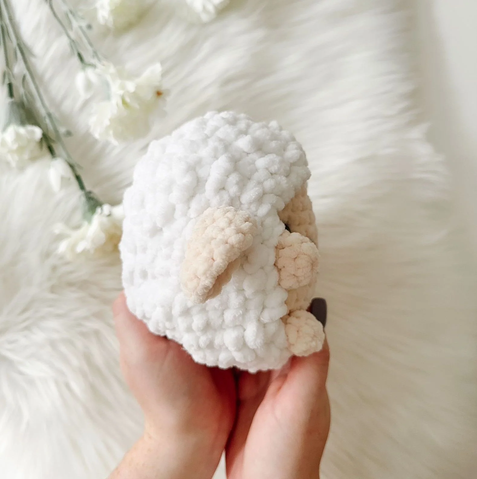 5780-shelby-sheep-1.webp