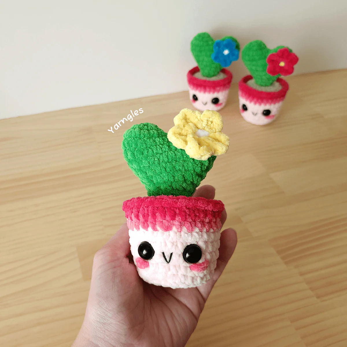 Lia The Tiny Heart Cactus