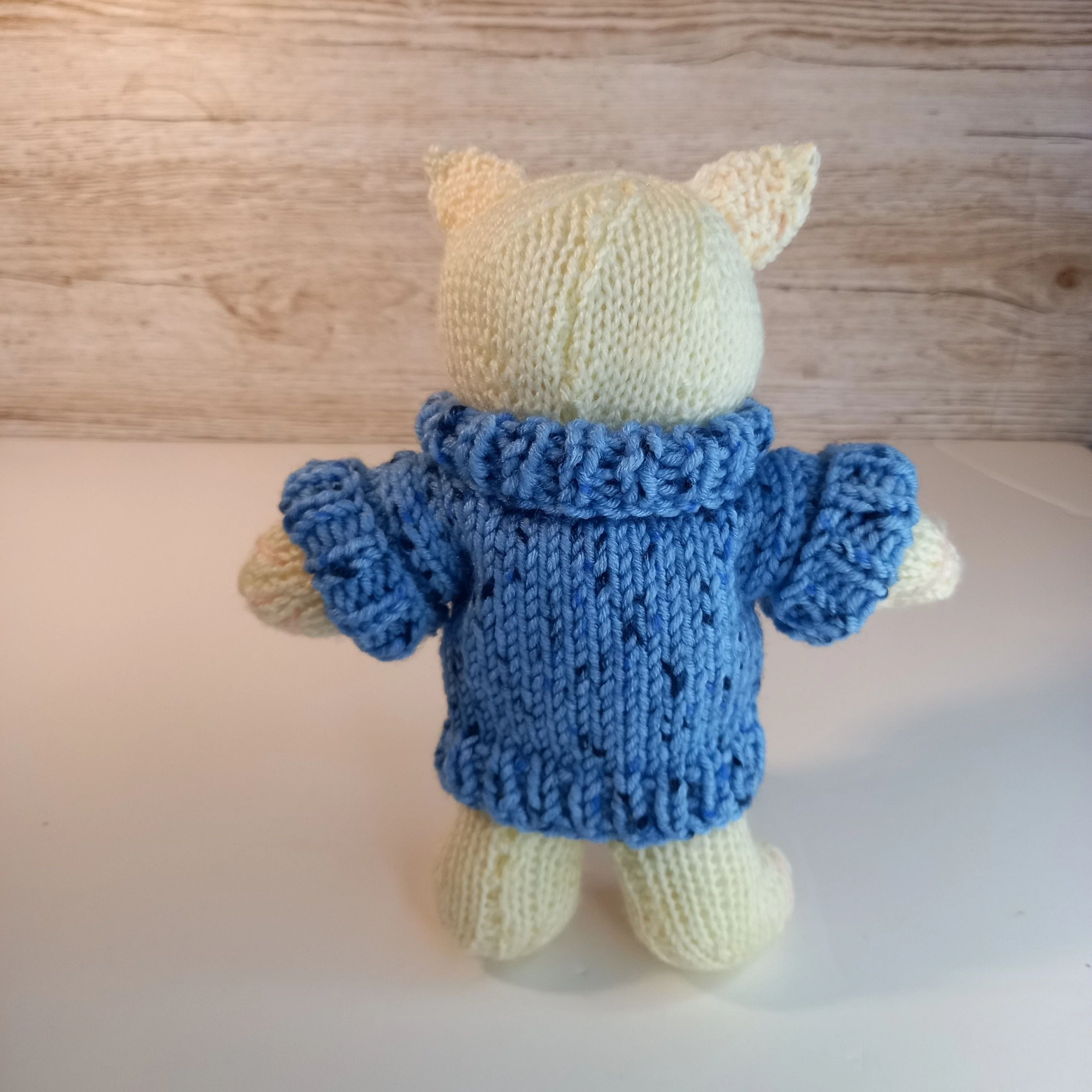 5884-kitten-in-sweater-1.webp