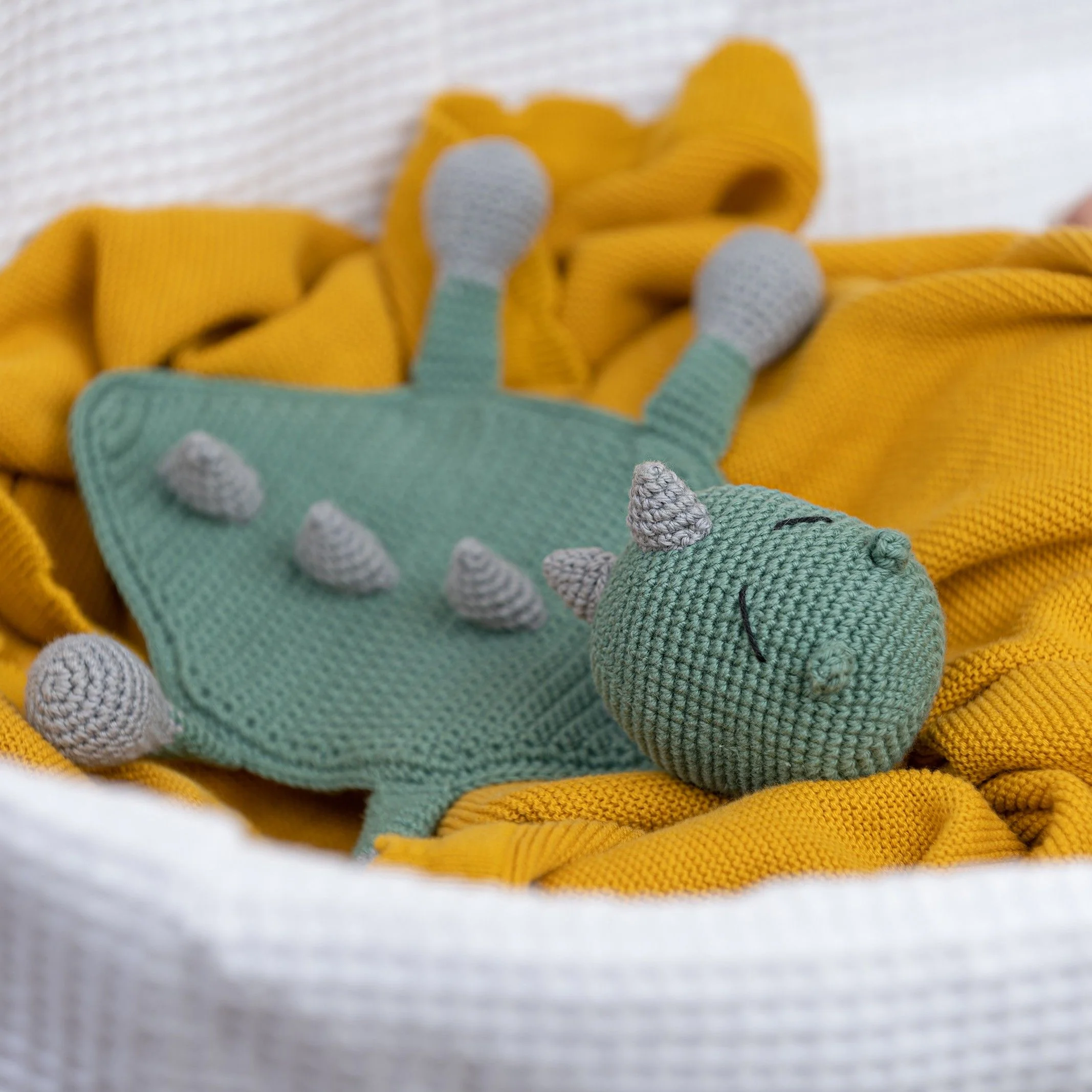 5946-donnie-the-dino-1.webp