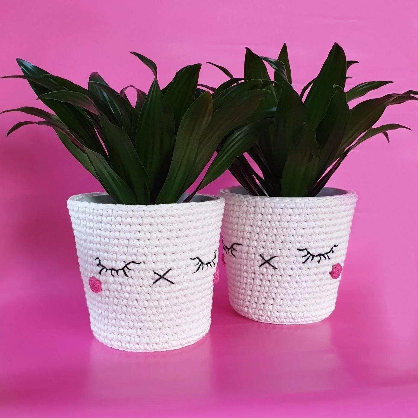 Kawaii Sweet Pots