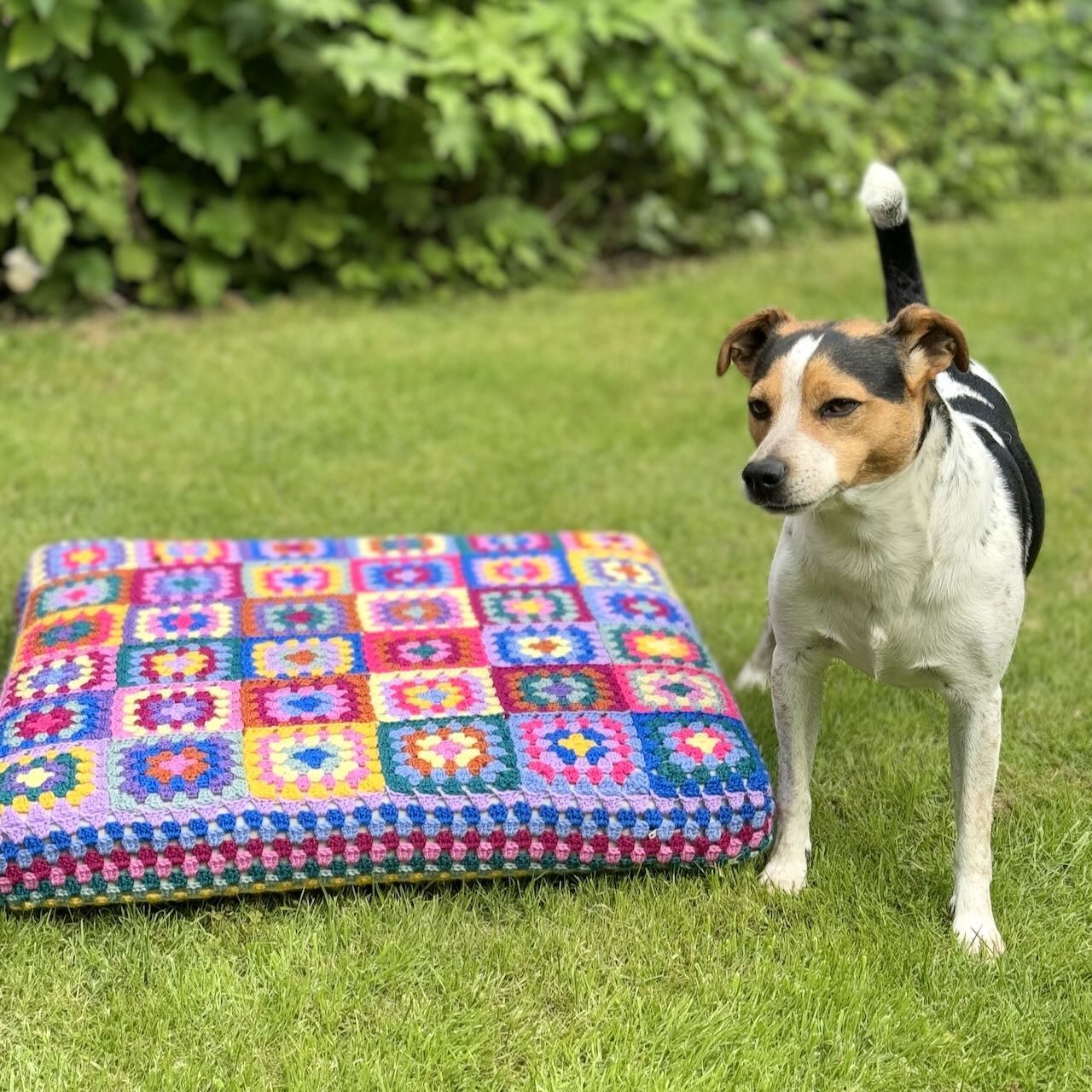 Kafkaâs Dog Bed