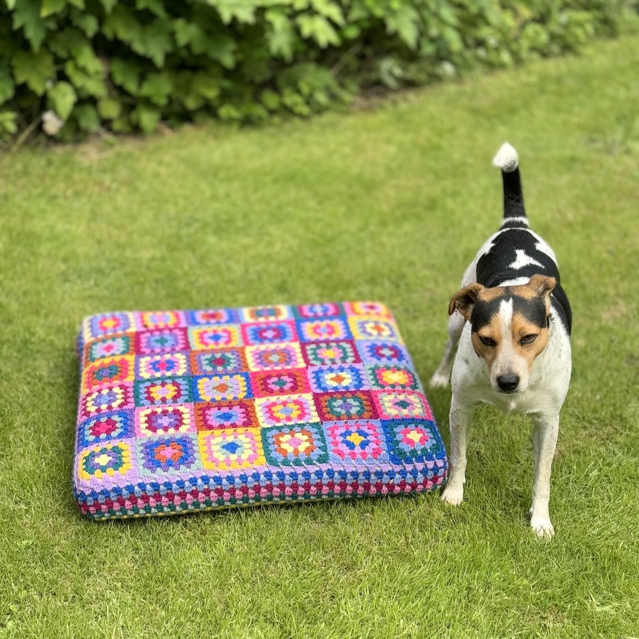 Kafkaâs Dog Bed