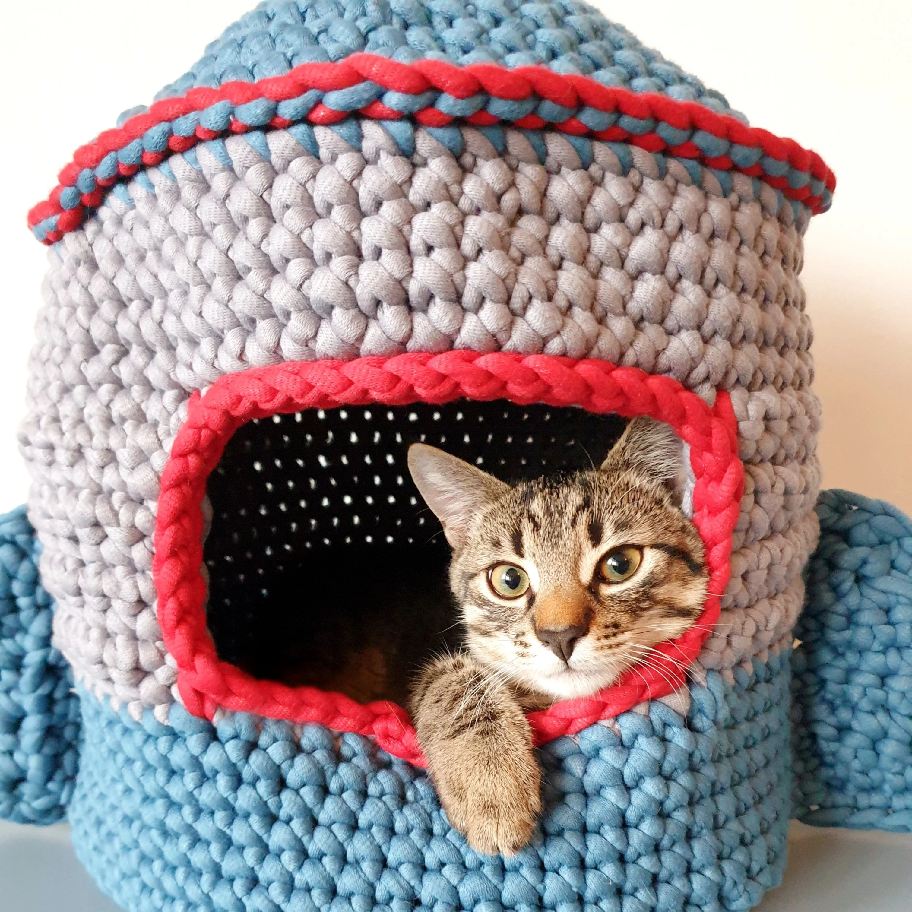 Space cat - Cat house